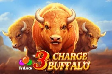 pulu88 live casino dealer asli pengalaman nyata